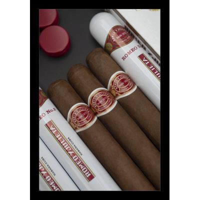 ROMEO Y JULIETA 15 ROMEO No.2 16