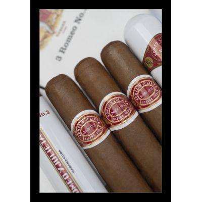 ROMEO Y JULIETA 15 ROMEO No.3 11