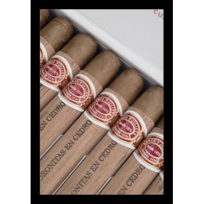 ROMEO Y JULIETA CORONITAS EN CEDRO 19